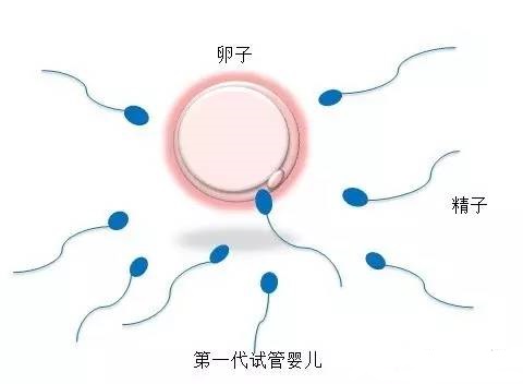 就诊指南